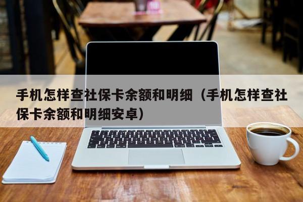 手机怎样查社保卡余额和明细（手机怎样查社保卡余额和明细安卓）