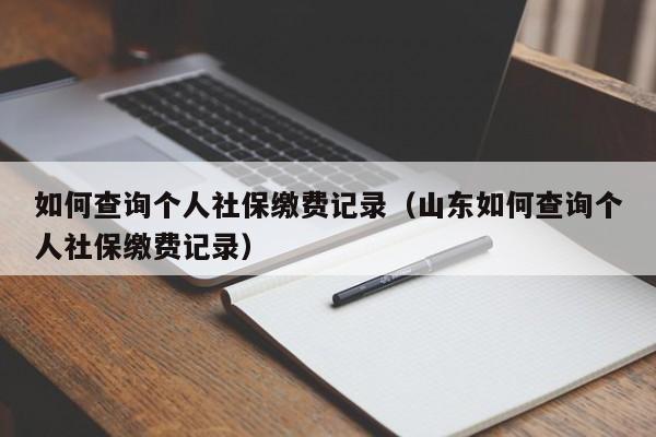 如何查询个人社保缴费记录（山东如何查询个人社保缴费记录）