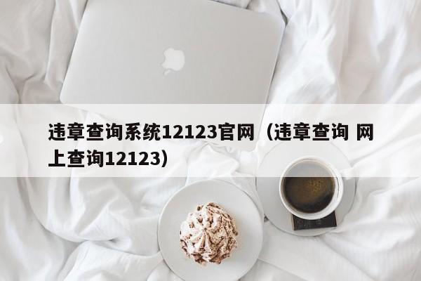 违章查询系统12123官网（违章查询 网上查询12123）