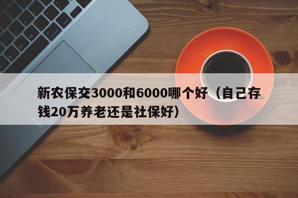 新农保交3000和6000哪个好（自己存钱20万养老还是社保好）