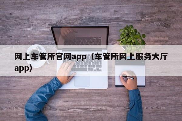 网上车管所官网app（车管所网上服务大厅app）