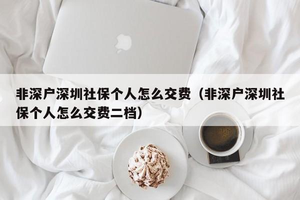 非深户深圳社保个人怎么交费（非深户深圳社保个人怎么交费二档）