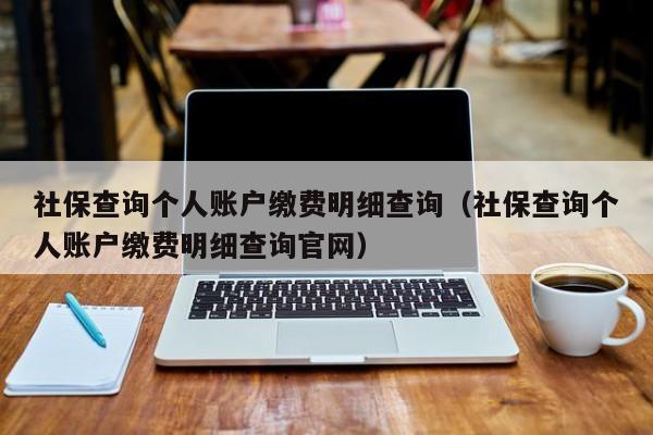 社保查询个人账户缴费明细查询（社保查询个人账户缴费明细查询官网）