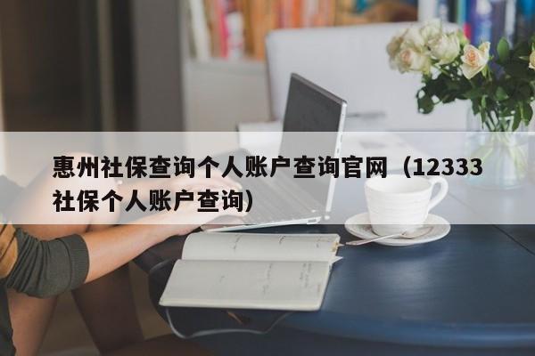 惠州社保查询个人账户查询官网（12333社保个人账户查询）