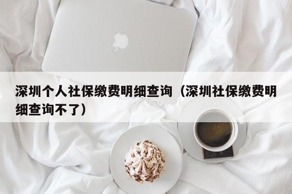 深圳个人社保缴费明细查询（深圳社保缴费明细查询不了）