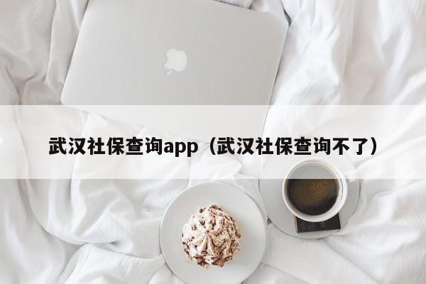 武汉社保查询app（武汉社保查询不了）