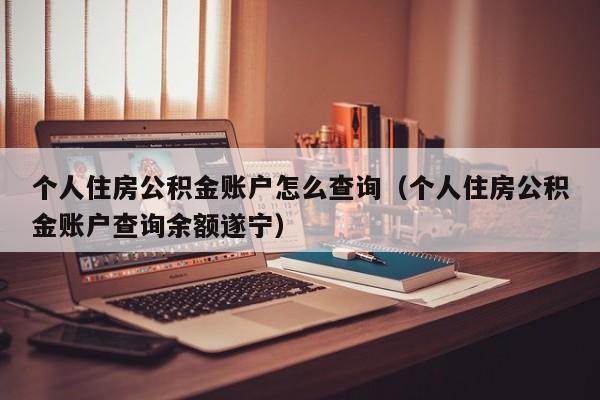 个人住房公积金账户怎么查询（个人住房公积金账户查询余额遂宁）