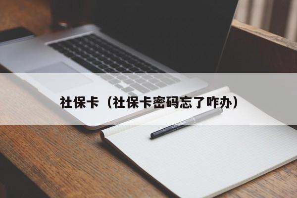 社保卡（社保卡密码忘了咋办）