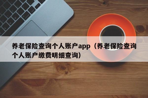 养老保险查询个人账户app（养老保险查询个人账户缴费明细查询）