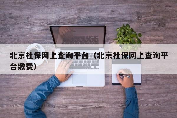 北京社保网上查询平台（北京社保网上查询平台缴费）