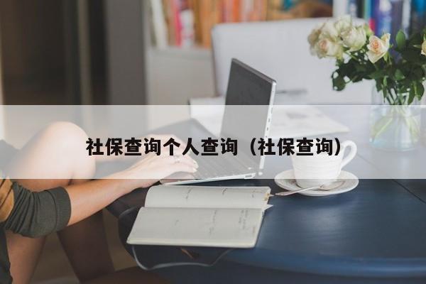 社保查询个人查询（社保查询）