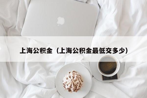 上海公积金（上海公积金最低交多少）