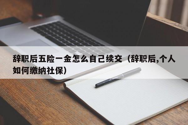 辞职后五险一金怎么自己续交（辞职后,个人如何缴纳社保）