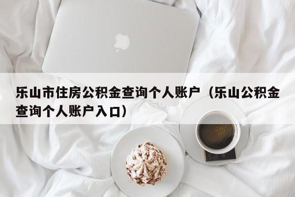 乐山市住房公积金查询个人账户（乐山公积金查询个人账户入口）