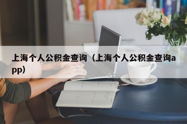 上海个人公积金查询（上海个人公积金查询app）