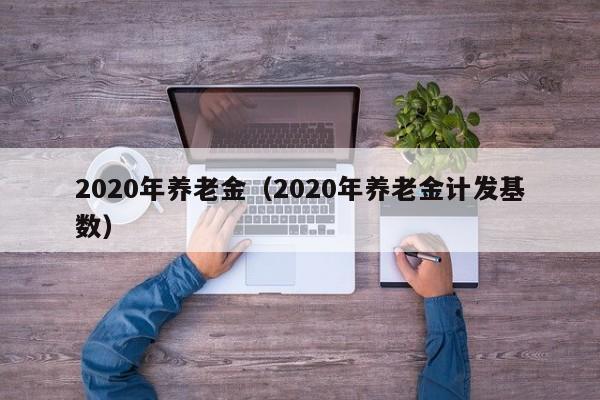 2020年养老金（2020年养老金计发基数）