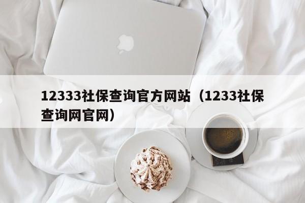 12333社保查询官方网站（1233社保查询网官网）