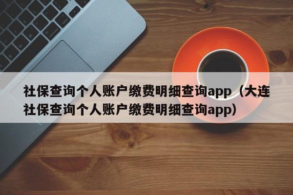 社保查询个人账户缴费明细查询app（大连社保查询个人账户缴费明细查询app）