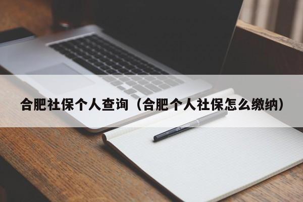 合肥社保个人查询（合肥个人社保怎么缴纳）