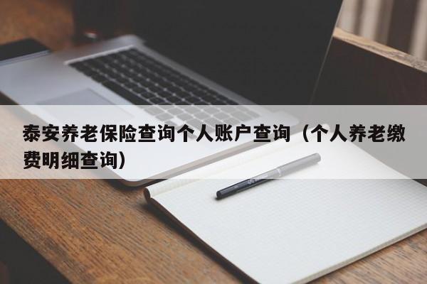 泰安养老保险查询个人账户查询（个人养老缴费明细查询）