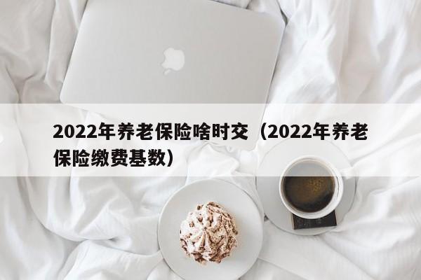 2022年养老保险啥时交（2022年养老保险缴费基数）