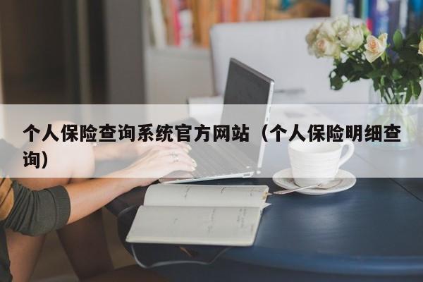 个人保险查询系统官方网站（个人保险明细查询）