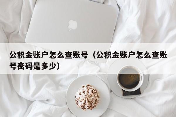 公积金账户怎么查账号（公积金账户怎么查账号密码是多少）