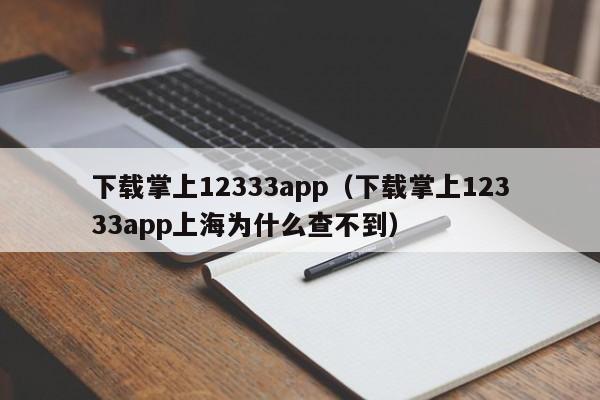 下载掌上12333app（下载掌上12333app上海为什么查不到）