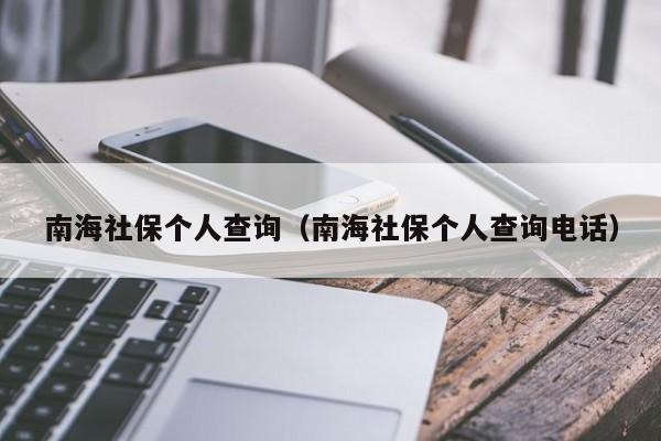 南海社保个人查询（南海社保个人查询电话）