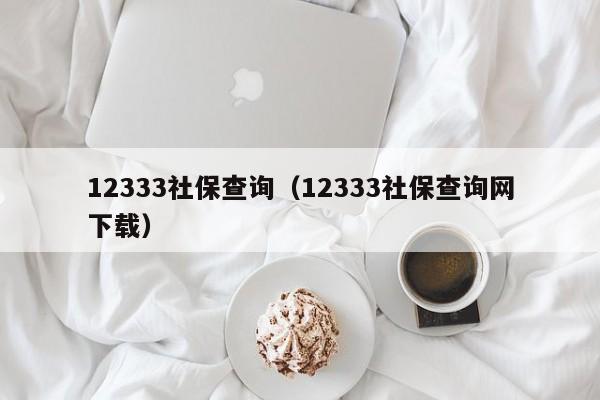 12333社保查询（12333社保查询网下载）