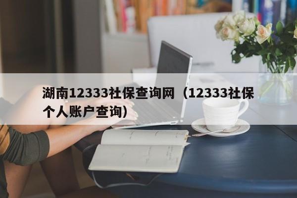 湖南12333社保查询网（12333社保个人账户查询）