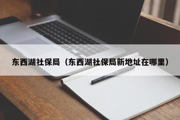 东西湖社保局（东西湖社保局新地址在哪里）