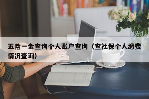 五险一金查询个人账户查询（查社保个人缴费情况查询）