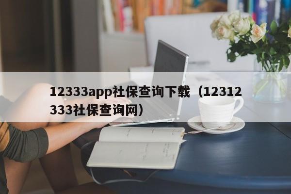 12333app社保查询下载（12312333社保查询网）