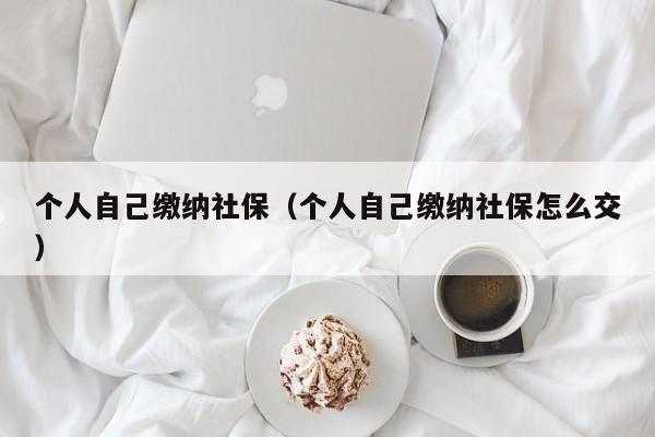 个人自己缴纳社保（个人自己缴纳社保怎么交）