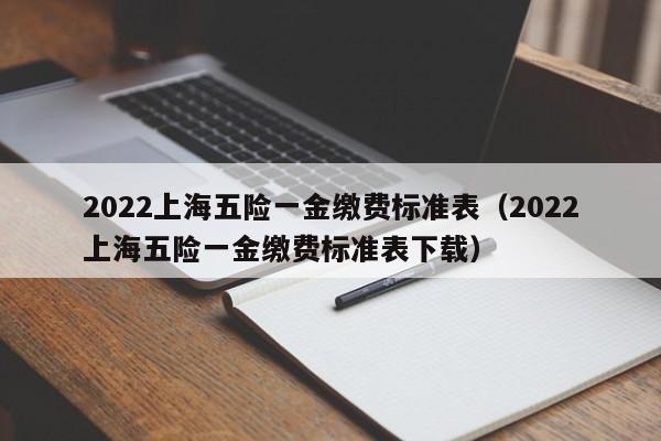 2022上海五险一金缴费标准表（2022上海五险一金缴费标准表下载）