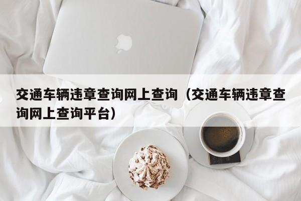 交通车辆违章查询网上查询（交通车辆违章查询网上查询平台）