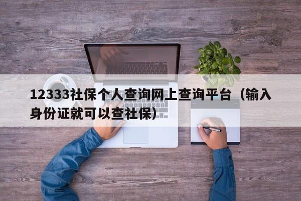 12333社保个人查询网上查询平台（输入身份证就可以查社保）