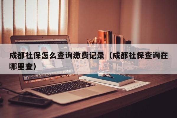 成都社保怎么查询缴费记录（成都社保查询在哪里查）