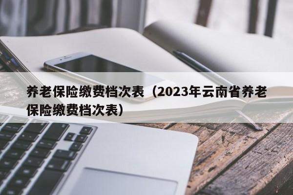 养老保险缴费档次表（2023年云南省养老保险缴费档次表）