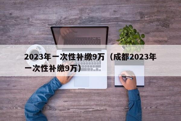 2023年一次性补缴9万（成都2023年一次性补缴9万）