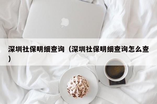 深圳社保明细查询（深圳社保明细查询怎么查）