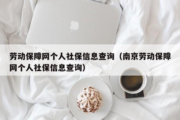 劳动保障网个人社保信息查询（南京劳动保障网个人社保信息查询）