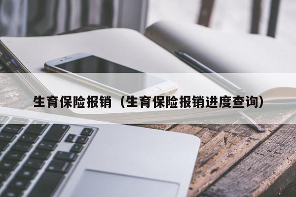 生育保险报销（生育保险报销进度查询）