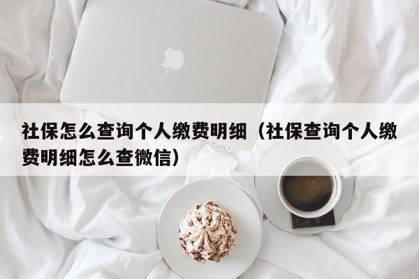 社保怎么查询个人缴费明细（社保查询个人缴费明细怎么查微信）