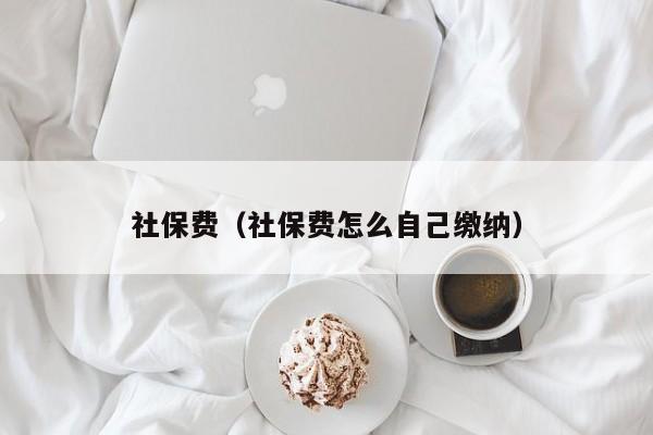 社保费（社保费怎么自己缴纳）