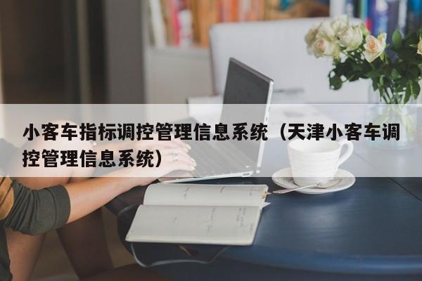 小客车指标调控管理信息系统（天津小客车调控管理信息系统）