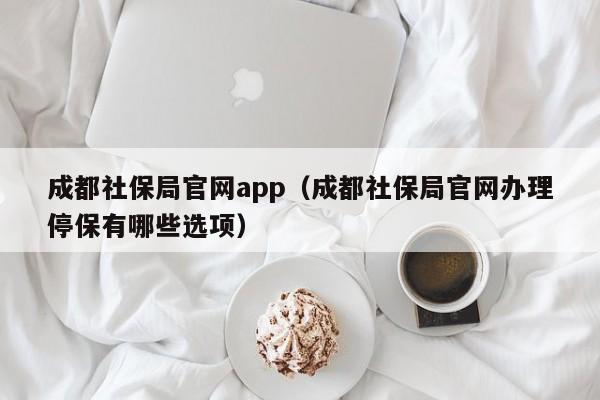 成都社保局官网app（成都社保局官网办理停保有哪些选项）