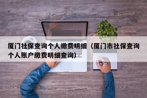 厦门社保查询个人缴费明细（厦门市社保查询个人账户缴费明细查询）