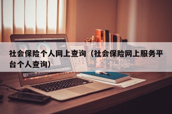 社会保险个人网上查询（社会保险网上服务平台个人查询）